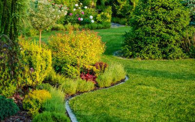 Kora czy kamień – co najlepiej sprawdzi się w Twoim ogrodzie?