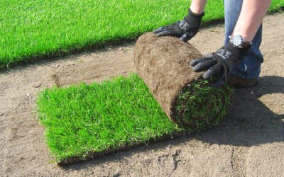 Trawnik z rolki krok po kroku – jak go założyć?